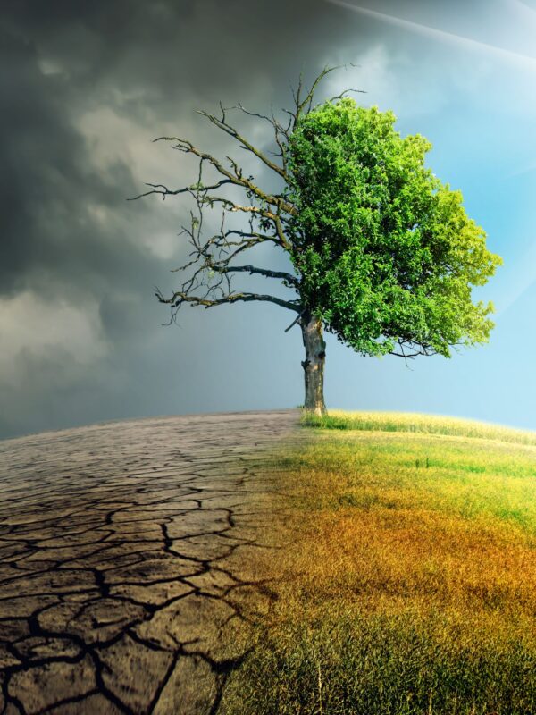 Klimatske promjene i zaštita na radu