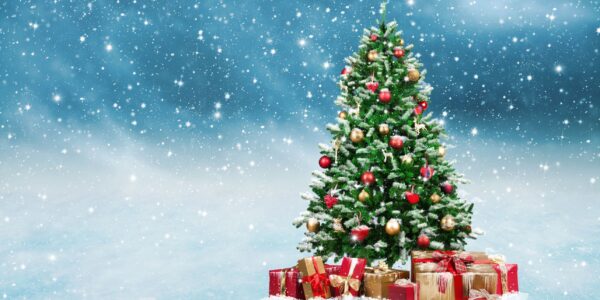 Sretan Božić i nova 2026. godina!